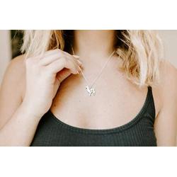 Rosa Vila Llama Necklace, Llama Gifts, Be Llamazing, Llama Stuff For Women, Alpaca Gifts, Mama Llama Gift Pendant, Alpaca Necklaces, Llama Jewelry For Women