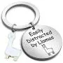 G-Ahora Llamas Keychain Easily Distracted by Llamas Alpaca Jewelry Gift for Llamas Lovers(by Llamas KR)