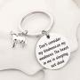 SEIRAA Wolf Charm Keychain Dont Consider My Kindness As My Weakness Inspirational Gifts for Wolf Lover