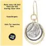 Graduated Circles 925 Sterling Silver and 14k Gold Filled Multi Hoops Dangle Earrings