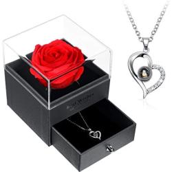 I Love You Necklace 100 Languages Projection Heart Pendant Necklace Crystal Loving Memory Collarbone Necklace with Red Rose Jewelry Storage Box for Valentines Day (Silver)