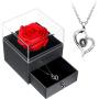 I Love You Necklace 100 Languages Projection Heart Pendant Necklace Crystal Loving Memory Collarbone Necklace with Red Rose Jewelry Storage Box for Valentines Day (Silver)