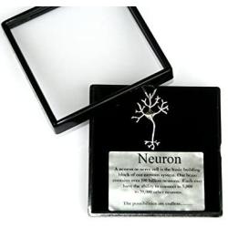 Nervous System Neuron Brain Science Necklace