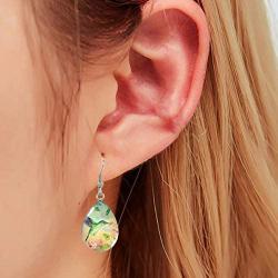 Earrings/Hummingbird Tear drop Earring Glass Dome Photo Jewelry Bird Art Earrings