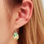 Earrings/Hummingbird Tear drop Earring Glass Dome Photo Jewelry Bird Art Earrings