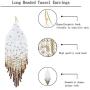 PLTGOOD Boho Tassel Dangle Earrings for Women Girls - Handmade Miyuki Delica Seed Beads Earrings Long Statement Earrings Jewelry