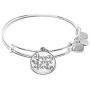 Alex and ANI Disney Parks Disney Princess Happily Ever After Bangle - Inspirational Quote - Charm Bracelet Jewelry Gift (Silver Finish)
