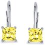 Bridal 1CT Brilliant Princess Cut Solitaire Square AAA CZ Leverback Drop Earrings For Women Sterling Silver More Colors