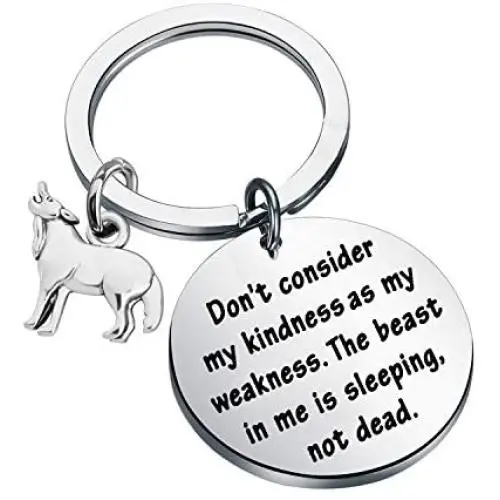 SEIRAA Wolf Charm Keychain Dont Consider My Kindness As My Weakness Inspirational Gifts for Wolf Lover SEIRAA Wolf Charm Keychain Dont Consider My Kindness As My Weakness Inspirational Gifts for Wolf Lover