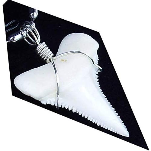 GemShark Beach Shark Tooth Necklace for Boys Women Great Megalodon tooth White Sterling Silver Black Choker Necklaces Charm Pendant Surfer Sharks Chain Also for Dangle Bracelet Bead Pendant Jewelry Cool