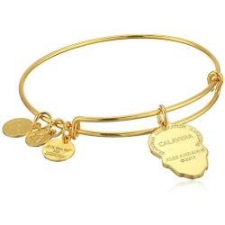 Alex and Ani Color Infusion, Calavera EWB Bangle Bracelet