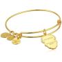 Alex and Ani Color Infusion, Calavera EWB Bangle Bracelet