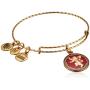 Alex and Ani Game of Thrones, Hear Me Roar Charm Bangle