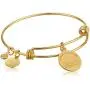 Alex and Ani Halos & Glories, June Crystal Shiny Gold Bangle Bracelet