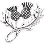 CENWA Outlander Inspired Jewelry Double Scottish Thistle Brooch Pin Sassenach Scottish Outlander Gift Scottish Brooch CENWA Outlander Inspired Jewelry Double Scottish Thistle Brooch Pin Sassenach Scottish Outlander Gift Scottish Brooch