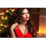 2020 Christmas Gifts Snow Christmas Tree Earrings for Women Girls CZ Dangle Drop Earring for Women Girls Holiday Jewelry