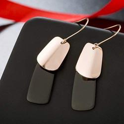HAISWET Art Deco Stainless Steel Fish Hook Dangle Earrings for Women