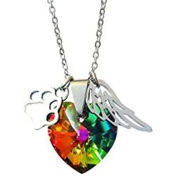 DJwindfy Rainbow Bridge Paw Print and Angel Wing Stainless Steel Necklace with Colorful Crystal,Pet Loss Memorial Gift in Memeroy of Pet