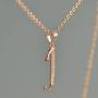 Paialco Jewelry 14K Rose Gold Plating Sterling Silver Initial Alphabet Pendant Necklace 18''