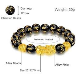 Ddgdxc Feng Shui Wealth Bracelet, Pi Xiu Obsidian Bracelet for Women Men, Good Luck Dragon Bracelet Attract Wealth Money Feng Shui Jewelry