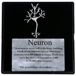 Nervous System Neuron Brain Science Necklace