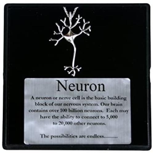 Nervous System Neuron Brain Science Necklace