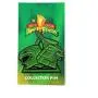 HAN CHOLO Mighty Morphin Power Rangers | Green Ranger Dragonzord Enamel Pin HAN CHOLO Mighty Morphin Power Rangers | Green Ranger Dragonzord Enamel Pin