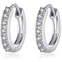 Zittop 1pair Sterling Silver S925 Earrings Inlaid Dangle Earrings Female