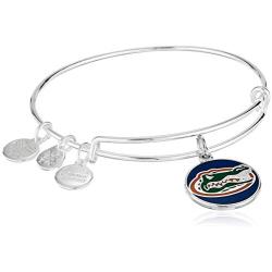 Alex and Ani Womens Color Infusion University of Florida Logo EWB Bracelet, Shiny Silver