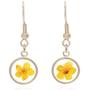 BONALUNA Pressed Flower Yellow Gold Plated Circle Dangle Drop Earrings