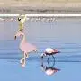 UJIMS Flamingo Lovers Gift Pink Enamel Flamingo Necklace Earring Set for Women Girl Flamingo Jewelry BFF Motivational Gift