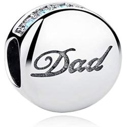 Eternalll Love Life Dad Mom Sister Bead Charms Authentic 925 Sterling Silver Jewellery Crystal Beads Love Family Best Birthday for European Charms Bracelet (DAD)