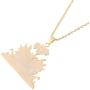 Stainless Steel Haiti Pendant and Necklace Ayiti Items Haiti Jewelry