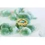 ONDAISY 14k Gold Plated Simulated Diamond Cz Moon Star Heart Flower Round Circle Ball Tragus Cartilage Clicker Hoop Ring Earring Piercing For Women16g