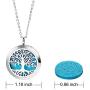 Essential Oil Necklace Diffuser Necklace Stainless Steel Not Fade Gift Set for Women and Girls