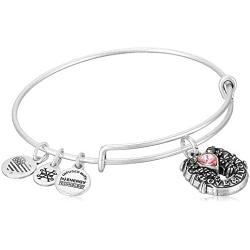 Alex and Ani Fortunes Favor Bangle Bracelet