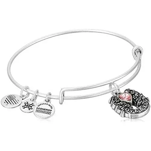 Alex and Ani Fortunes Favor Bangle Bracelet Alex and Ani Fortunes Favor Bangle Bracelet