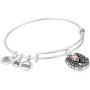 Alex and Ani Fortunes Favor Bangle Bracelet