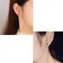 Anime HUNTER x HUNTER Hisoka Earrings -stainless steel Star and Teardrop Anime Stud Earrings Women Men Earring Jewelry Gift Accessories