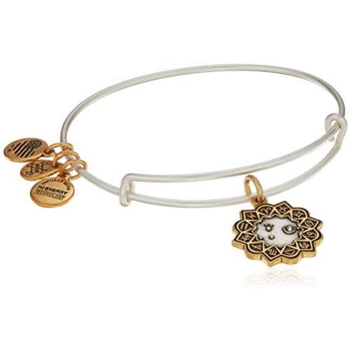 Alex and Ani Two-Tone Zodiac Bangle