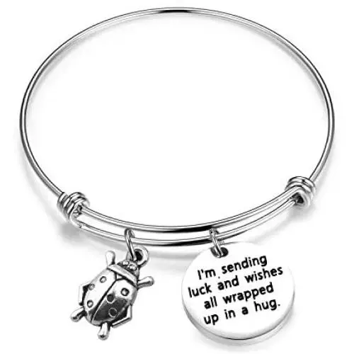 SEIRAA Ladybug Jewelry Ladybug Charm Bracelet Insect Lover Gift Wish Bracelet Lucky Gift for Women