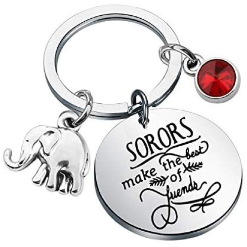 UJIMS Delta Sigma Theta Sorority Paraphernalia Jewelry Funny Sisterhood Keychain Sorors Make The Best Of Friend Gift for Her Greek Inspired Sorority Gift