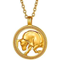 FindChic Horoscope Necklaces for Women Men Zodiac Sign Disc Pendant Coin Necklaces Stainless Steel/18K Gold Plated Two Tone Jewelry Personalized Birthday Gift