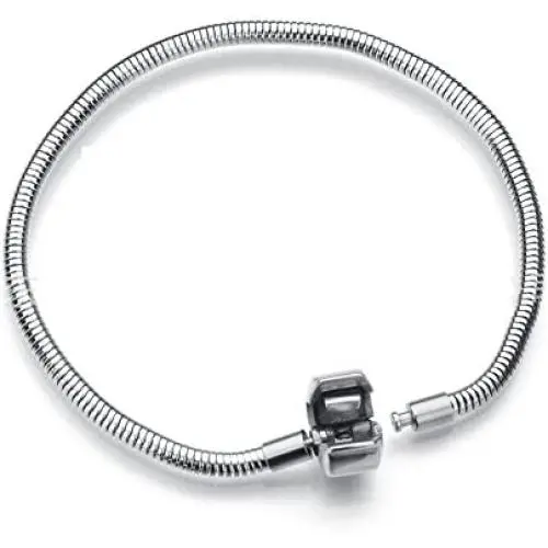 Daisy Jewelry Women Girls European Charm Bracelet for Bead Charms Stainless Steel Snake Chain Daisy Jewelry Women Girls European Charm Bracelet for Bead Charms Stainless Steel Snake Chain