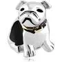QueenCharms Silver Plated Cute British English Bulldog with Golden Collar Animal Charm for Bracelet