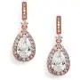 Mariell Rose Gold Cubic Zirconia Wedding Drop Earrings for Women, Jewelry for Bride, Prom, Bridesmaids Mariell Rose Gold Cubic Zirconia Wedding Drop Earrings for Women, Jewelry for Bride, Prom, Bridesmaids