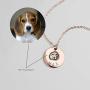 MignonandMignon Personalized Pet Gifts Custom Pet Jewelry Dog Necklace Cat Gift Custom Portrait Unique Gift LCN-AP