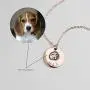 MignonandMignon Personalized Pet Gifts Custom Pet Jewelry Dog Necklace Cat Gift Custom Portrait Unique Gift LCN-AP