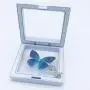 Ladies necklace , WH Lifestyle necklaces for women necklace jewelry women girl gift choker set fashion decorative clear lid boxes jewelry tray (blue) Ladies necklace , WH Lifestyle necklaces for women necklace jewelry women girl gift choker set fashion decorative clear lid boxes jewelry tray (blue)