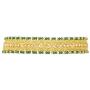 Aheli Indian Wedding Wear Polki Stone Beaded Choker Necklace with Maang Tikka Set Ethnic Fashion Jewelry for Women